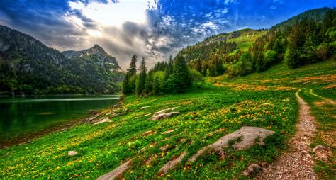 Nature Landscape Lake Mountains Forest Wildflowers