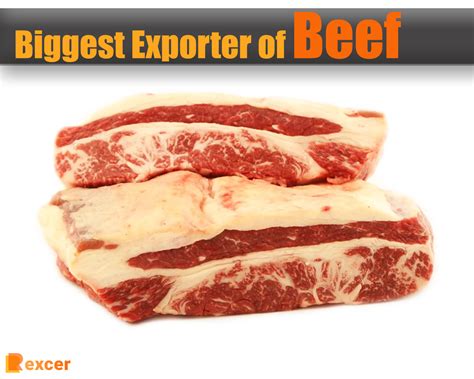 Biggest Exporter Of Beef A Comprehensive Guide