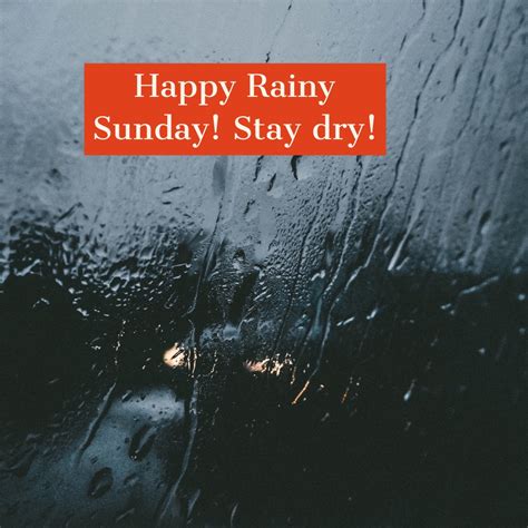 Happy Rainy Sunday