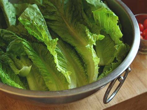 It is easy to count that two. Romaine Lettuce: Nutrition, Calories, and Recipes