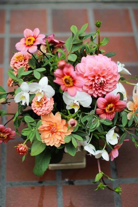 Students, do you need health insurance? University Flower Shop - 49 Photos & 34 Reviews - Florists ...