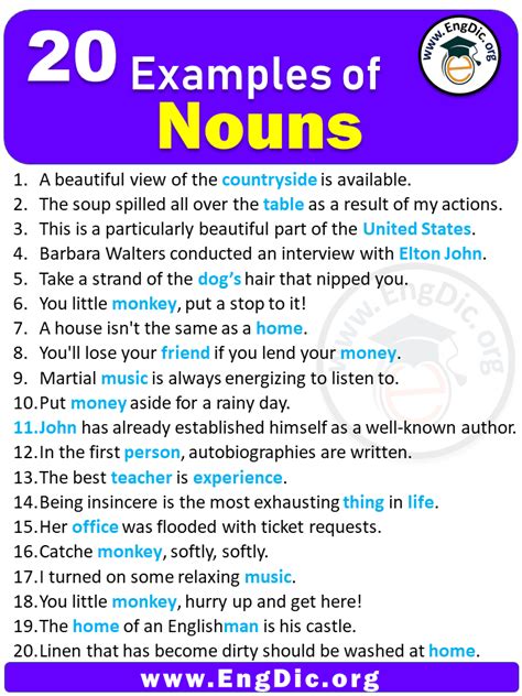 20 Examples Of Noun In Sentences Engdic