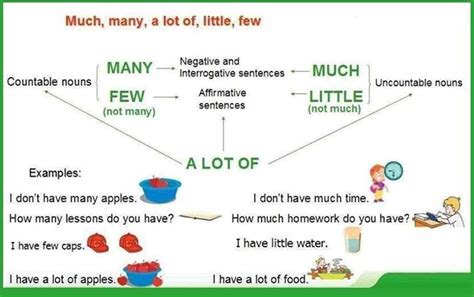 A quantifier always comes before a noun and modifies the noun. Quantifiers - Much, Many, Some, Any, Few, Little ...