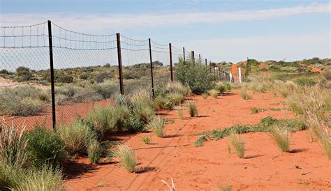 Dingo Fence Lets Go Travel Australia