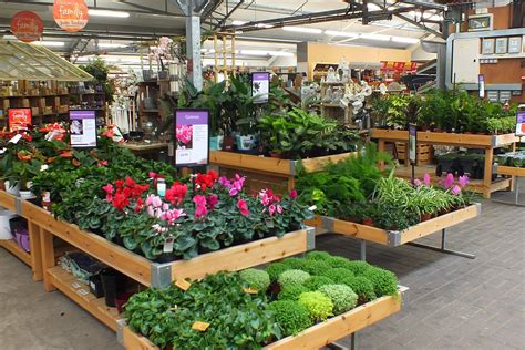 It is a great place to grab a lunch to go from one of the great local restaurants. Seed and bulb sales soar in August - GCA