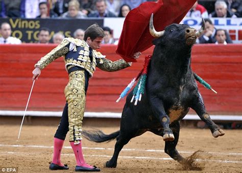 Check spelling or type a new query. Hundreds of anti-bull fighting protestors stage a bloody ...