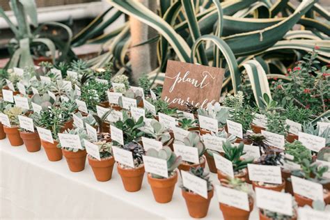 We did not find results for: succulent-place-cards | Greenery wedding, Wedding favors ...