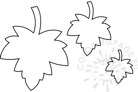 We hope you enjoy our online coloring books! Three maple leaves template - Coloring Page