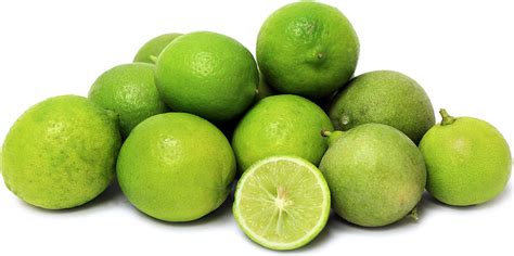 Key Limes Information And Facts