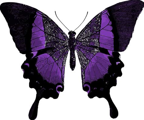 Download Vibrant Purple Butterfly Illustration