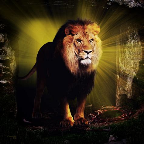 The Lion Of Judah By Robhas1left On Deviantart