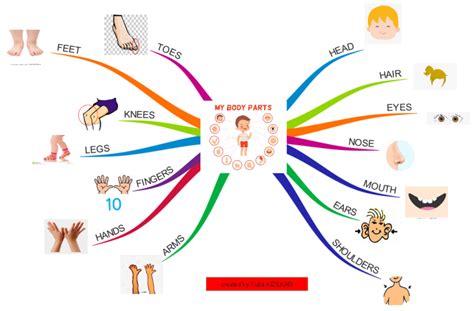 Body Parts Mind Map