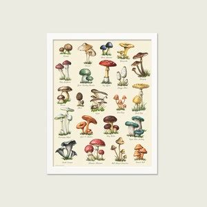 Mushroom Varieties Print Food Print Mushroom Chart Etsy