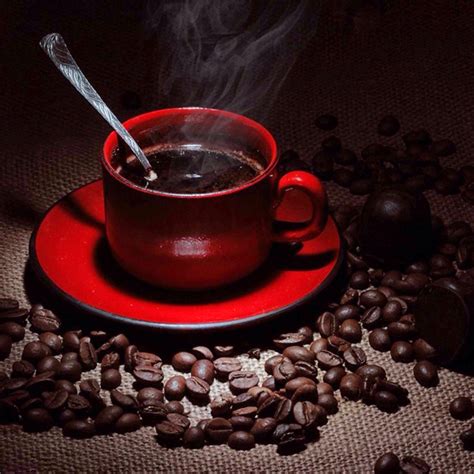 Coffee ★ - Coffee Photo (38175762) - Fanpop