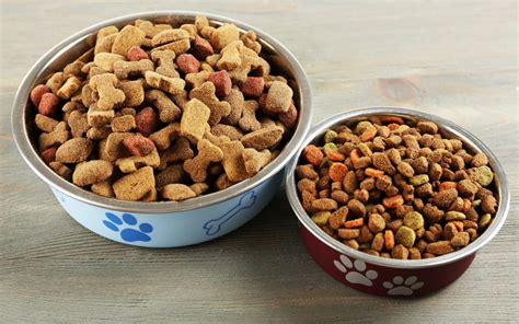 Best Cheap Dog Food Reviews And Purchase Guide Love And Kisses Pet