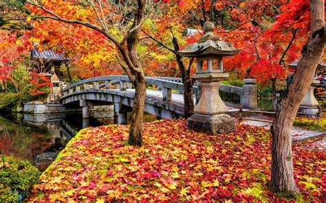 Download Autumn Bridge In Kyoto Wallpaper