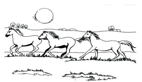 Herd Of Horses Coloring Pages Horse Coloring Pages Horse Coloring