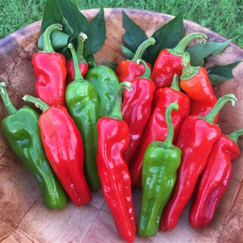 30 Different Types Of Peppers From Sweet To Mild And Truly Hot Only
