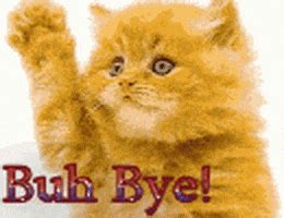Share the best gifs now >>>. Cat Goodbye GIF - Find & Share on GIPHY