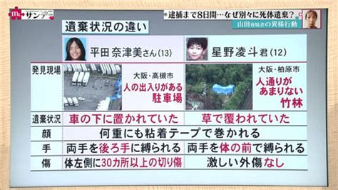 The site owner hides the web page description. 【続報】山田浩二による寝屋川中1星野凌斗くん・平田奈津美 ...