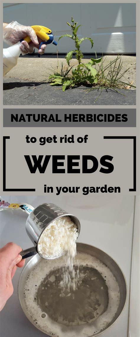 Natural Herbicides To Get Rid Of Weeds In Your Garden