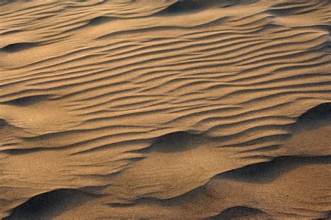 Wallpaper Landscape Rock Nature Sand Wood Desert Texture