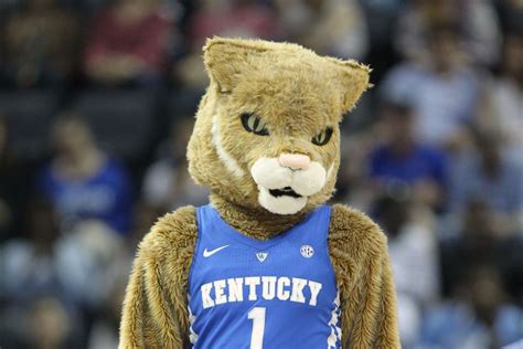 About 10,000 years ago some. 10 New Kentucky Wildcats Mascot Pictures FULL HD 1920×1080 ...