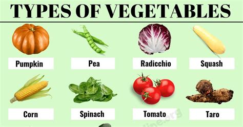 Alphabetical List Of Vegetables Different Types