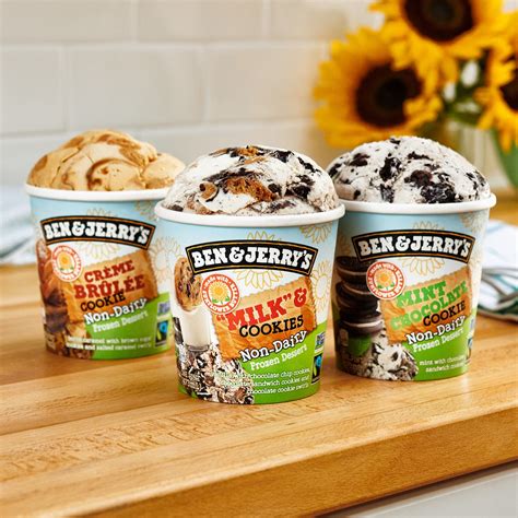 Ben and jerry's finally has vegan ice cream, and we've got the full scoop! Ben & Jerry's Brightens Our Day with 5 New Vegan Flavors ...