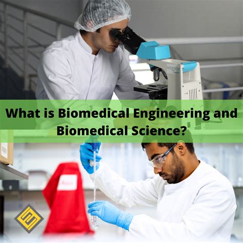 What Is Biomedical Engineering And Biomedical Science Excel