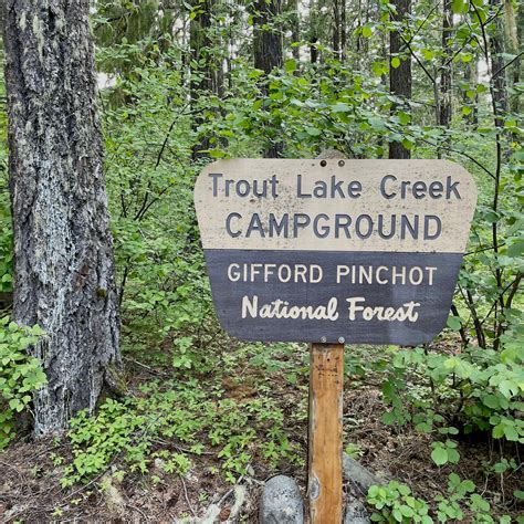 Ford Pinchot National Forest Trout Lake Creek Campground The Dyrt