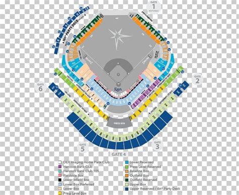 Tampa Bay Rays Seating Chart And Pricing Cabinets Matttroy