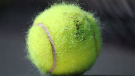 Why Are Tennis Balls Fuzzy