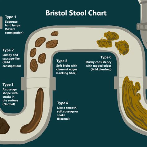 Bristol Stool Chart Meaning