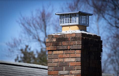 The damper, which is the hatch that closes the opening to the chimney, is not nearly enough to keep bees out. birds-in-chimney-1 - Zen of Zada