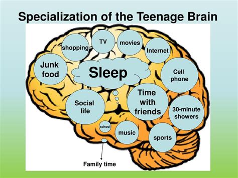 Ppt Whats Up With The Teenage Brain Inquiring Minds Want To Know
