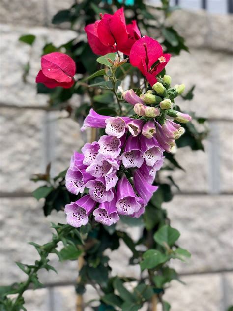 168 likes · 12 were here. Gardening: How to Create a Flower Garden (Part 2 ...