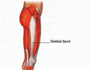 Check spelling or type a new query. The IT Band: Why is it so tight? - Absolute Health ...