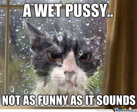 Funny Wet
