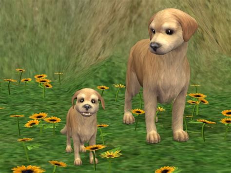Mod The Sims Mini Golden Retriever