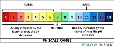 What Is Ph Scale Definition Range Examples Biology Reader