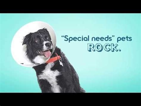 Austin Humane Society- Special Needs Directed by Randal ...
