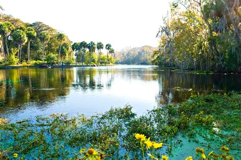 15 Best Things To Do In Silver Springs Fl