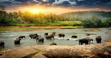8 Best Places To Visit In Sri Lanka