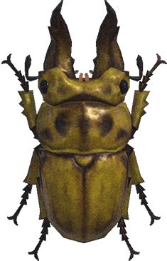 Golden Stag Beetle Animal Crossing