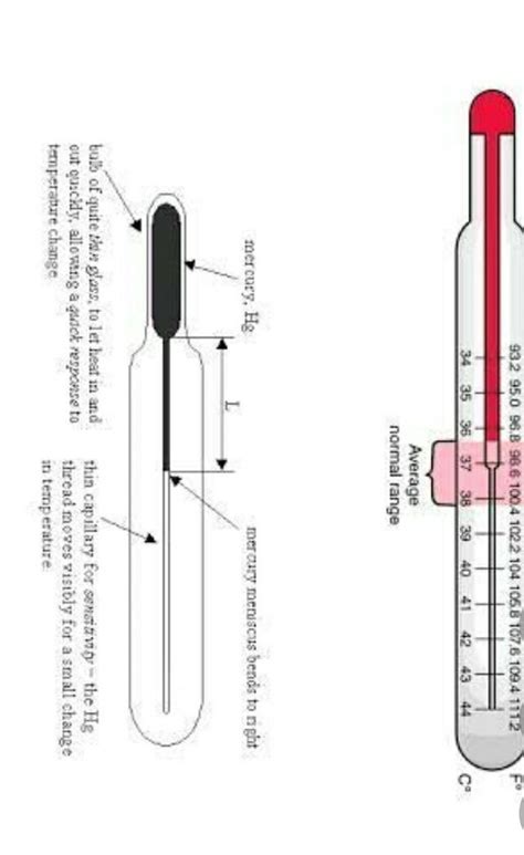 Make sure your child's armpit is dry to get the most accurate reading. diagram clinical thermometer and laboratory ...