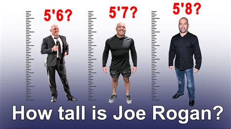 Joe Rogan Height Proof With Visual Comparison Heartafact