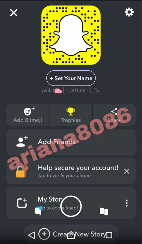 Sold Snapchat Accounts 1 Million Score Playerup Worlds Leading