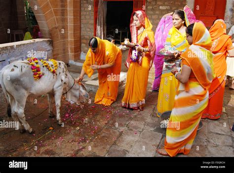 Women Performing Pooja Of Cow On Bachchabaras Festival Jodhpur