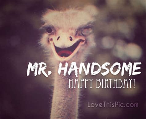 Happy Birthday Mr Handsome Pictures Photos And Images For Facebook